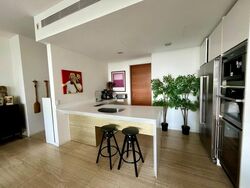 Cyan (D10), Condominium #458695241